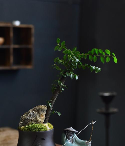 禅意之美（寻觅心灵的宁静与平和）