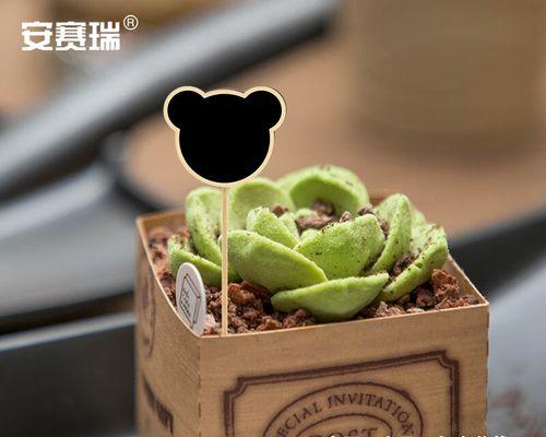 黑木材——神秘而珍贵的木材（探寻黑木的来源）