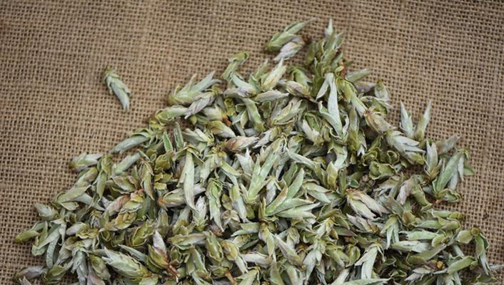 芽孢茶，一种健康的发酵茶（从种植到饮用）