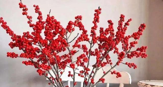 红果之花语与寓意（探索红果花的内涵与象征）