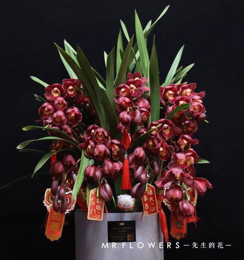 探寻蕙兰花的花语和寓意（神秘而娇艳的蕙兰花）