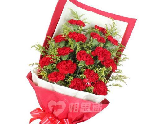 康乃馨19朵的象征意义及寓意解析（浪漫花束中的情感之花——康乃馨19朵）