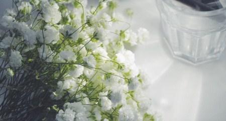满天星花的花语与寓意（探索满天星花的神秘意义与象征）