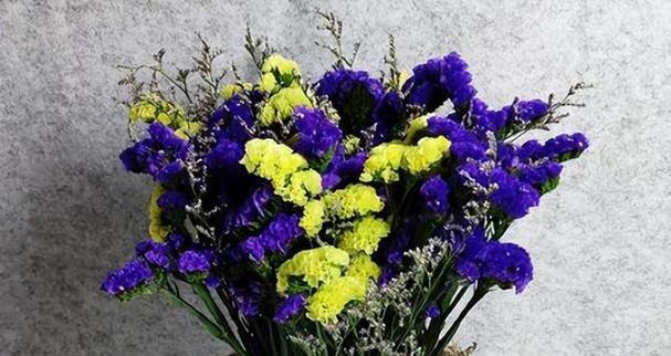 心想事成——以向日葵花的花语为主题（向日葵花语传递的积极能量和梦想的实现）