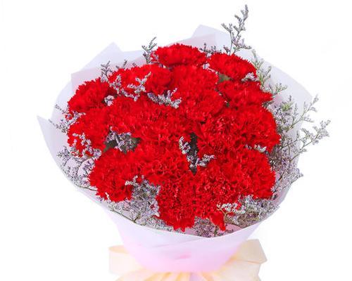 红色康乃馨花语与寓意（传递爱与热情的红色康乃馨花）