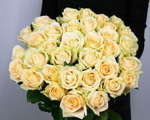 以香槟色玫瑰花的象征意义（揭示香槟色玫瑰的深刻含义）