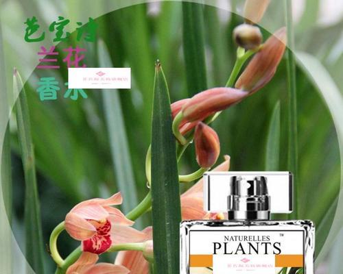 揭秘香水兰花香的危害（兰花香味是否有毒）