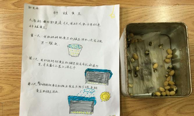 黄豆几月份收获？如何确保最佳收获时间？