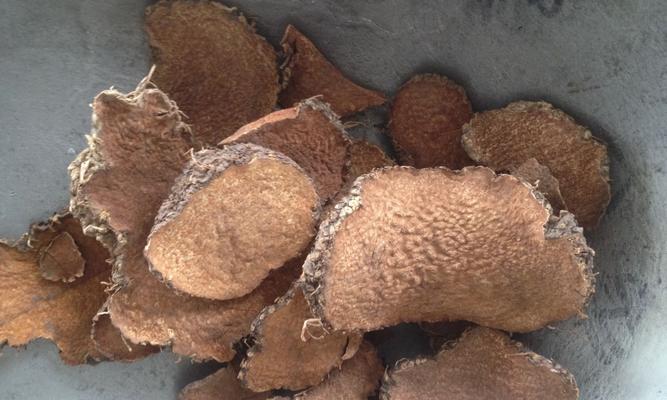 黄独的根茎能吃吗？食用安全性和正确方法是什么？