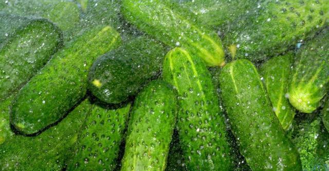 黄瓜冷冻保存的正确方法是什么？冷冻后还能保持新鲜吗？