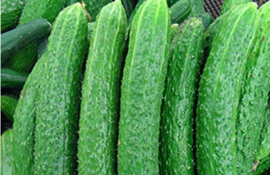 黄瓜什么季节吃最好？夏季食用有哪些好处？
