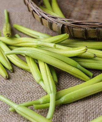 黄花菜又叫什么菜？它的别名有哪些？