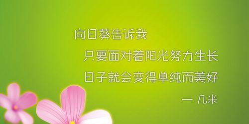 什么花代表奋斗精神？花语中奋斗的含义是什么？