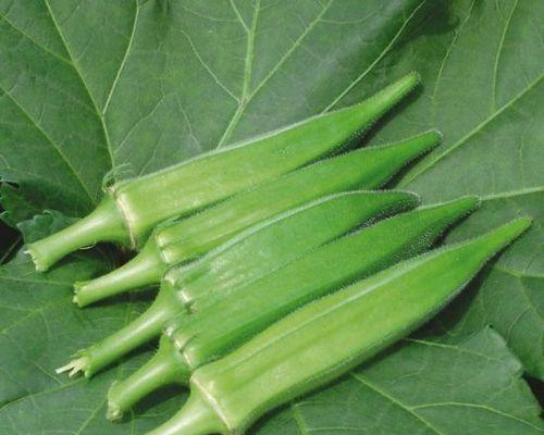 黄葵和秋葵是同一种植物吗？它们的区别是什么？