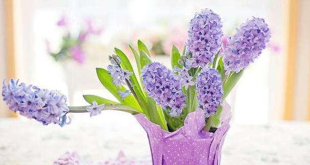 什么花代表信任？花语中信任的花朵有哪些？