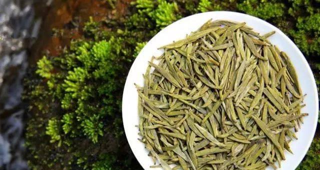 黄芽是什么茶？黄芽茶的种类和特点有哪些？