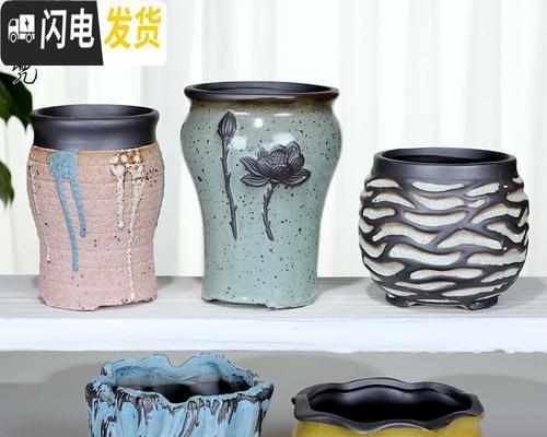 盆栽B选品种的含义是什么？