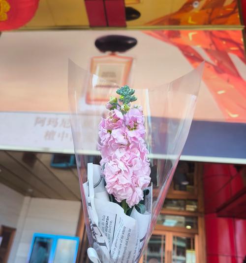 男模在妇女节送玫瑰花有何深意？