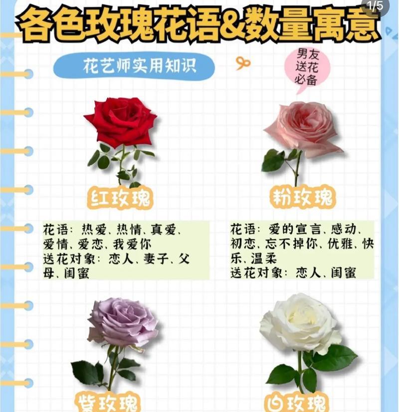玫瑰花语中一朵玫瑰代表什么？一朵玫瑰的深层含义是什么？