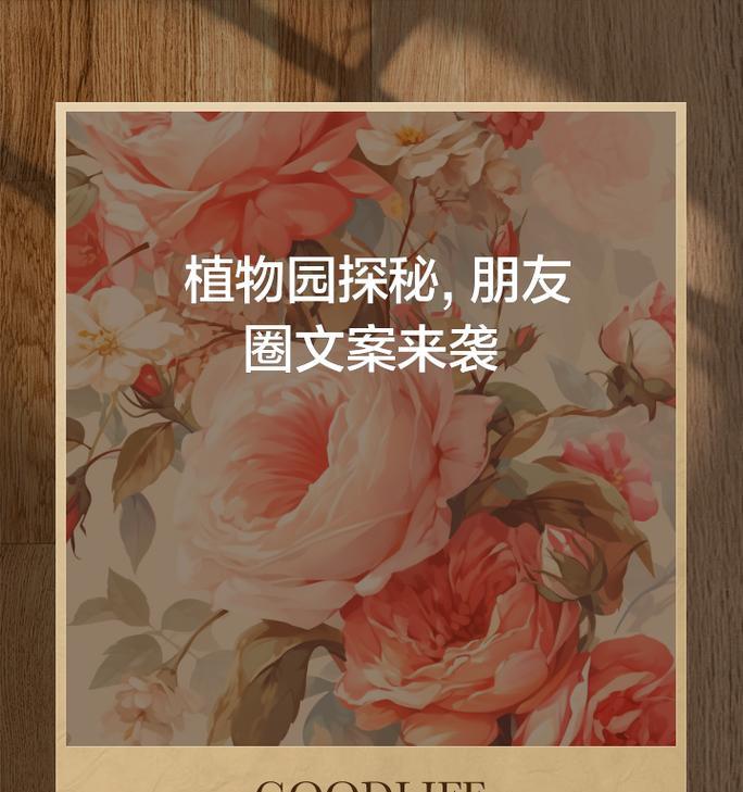 如何撰写深夜欣赏植物的文案？有哪些写作技巧？
