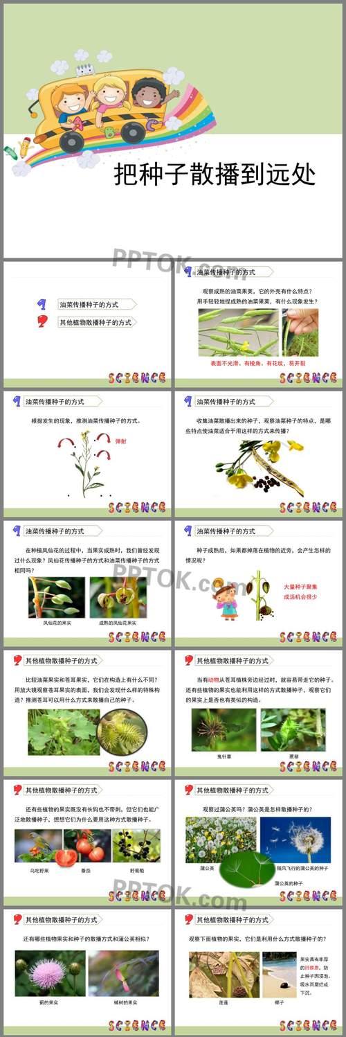 植物怎么传播种子？自然界的种子传播方式有哪些？