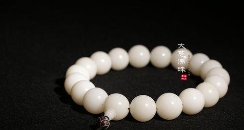 超大盆佛珠植物的养护技巧是什么？如何防止根部腐烂？