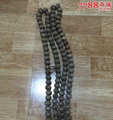 超大盆佛珠植物的养护技巧是什么？如何防止根部腐烂？
