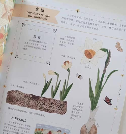 有哪些关于植物的书籍推荐？它们的内容特点是什么？