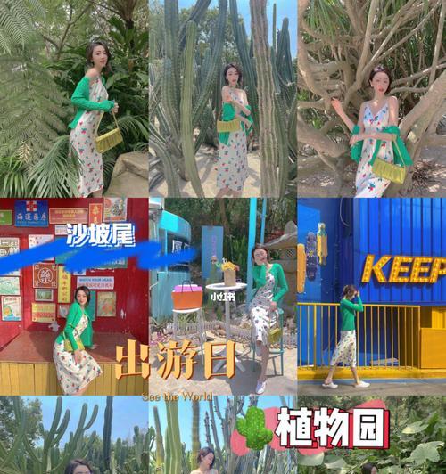 南普陀寺怎么去植物园？路线和交通方式有哪些？