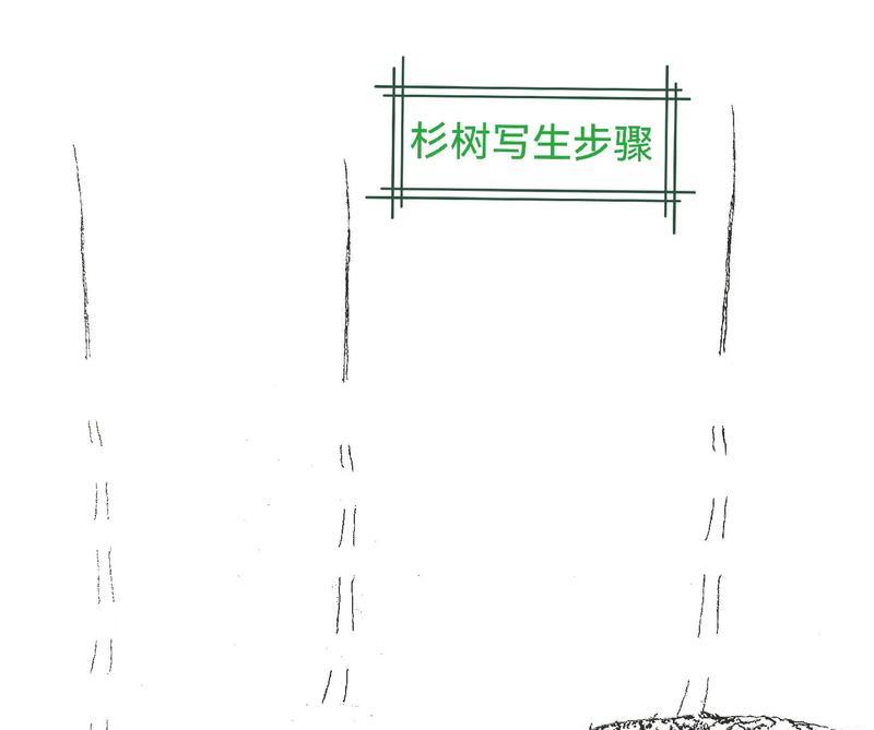 如何画出植物树的形态？有哪些绘画技巧？