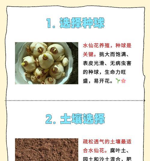 曹庄地区水培花卉的选择有哪些？养护技巧是什么？