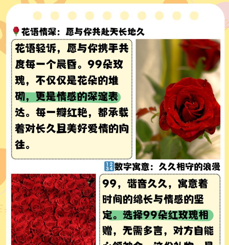 卧室放七朵玫瑰花有什么寓意？它象征着什么？