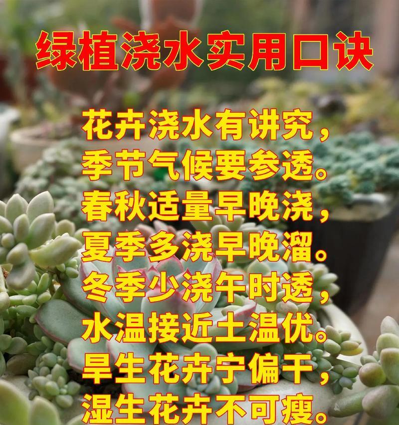 室内植物冬季浇水方法是什么？如何避免冬季浇水不当？