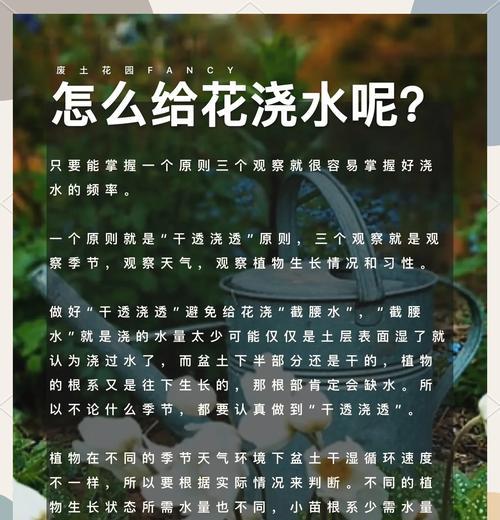 室内植物冬季浇水方法是什么？如何避免冬季浇水不当？