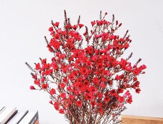 春节花卉图案通常象征着什么？