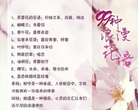 送花给仔仔应该选择哪种花语？