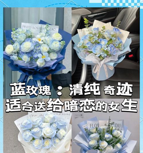 送花给仔仔应该选择哪种花语？