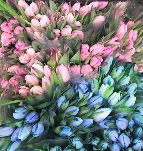 李程碑送玫瑰花有何深意？玫瑰花的寓意是什么？
