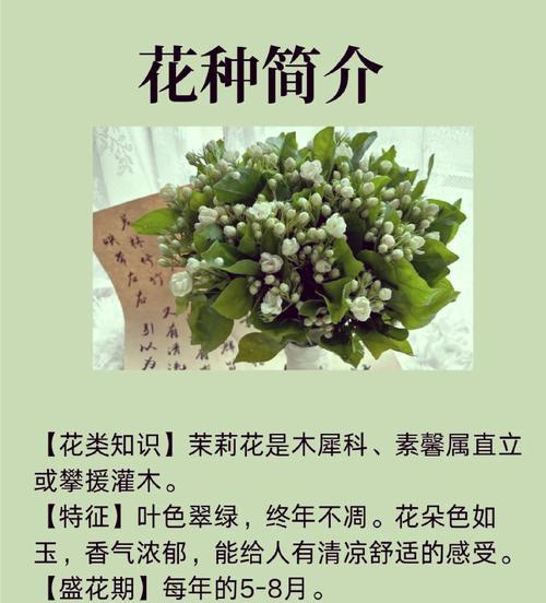 花语调为何常与爱情联系？有何特别之处？