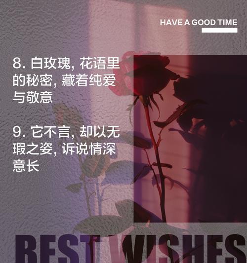 三朵干白玫瑰的花语传达了什么信息？