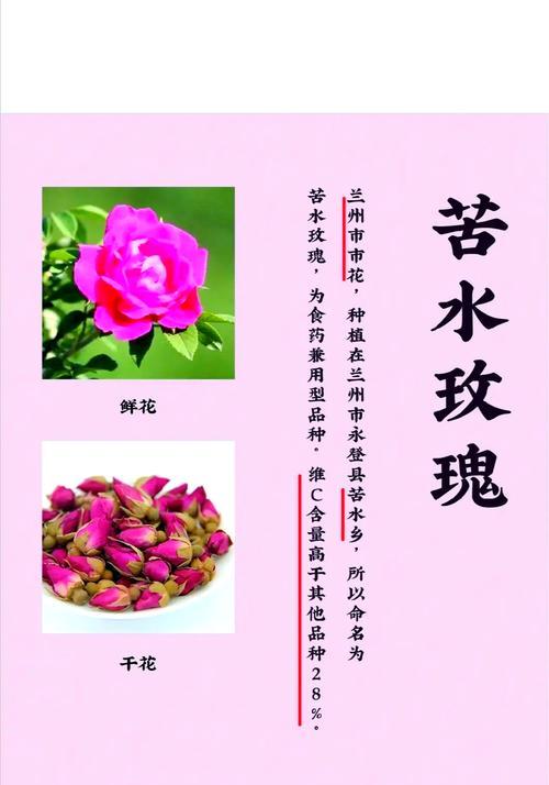 108朵玫瑰花代表什么？108朵玫瑰的花语有何特殊含义？