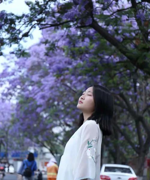 浪漫之都的花语表达什么？