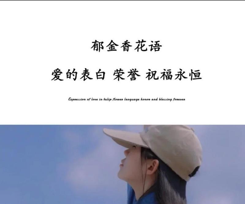 表白时应该用什么花语？女生喜欢的花语有哪些？