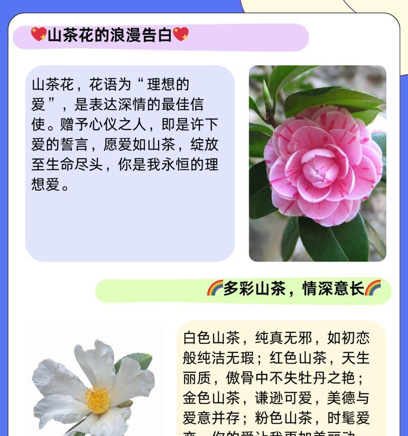 表白时应该用什么花语？女生喜欢的花语有哪些？