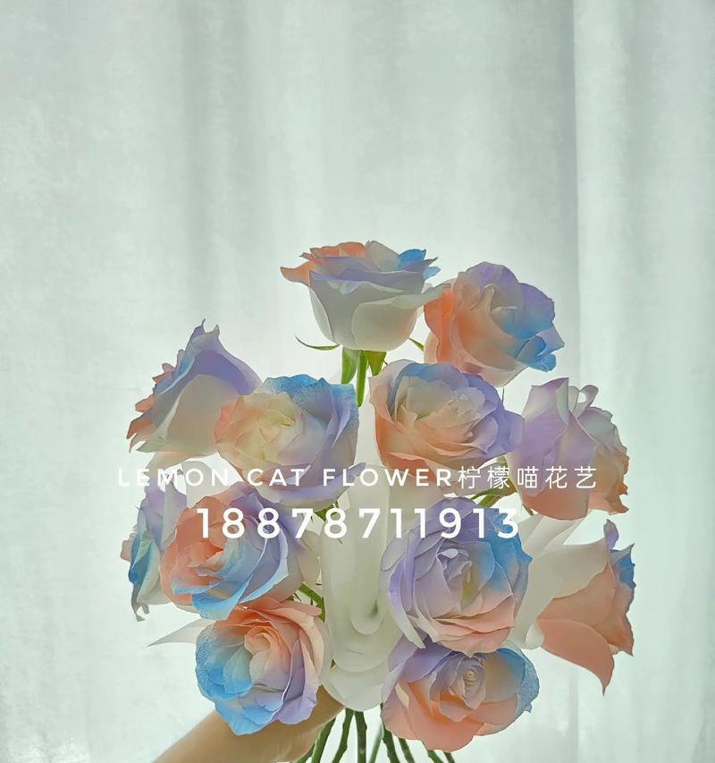 人鱼姬的花语寓意是什么？它代表了什么？