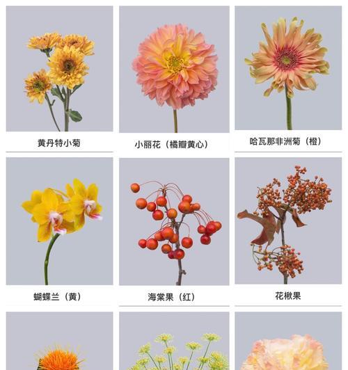凤梨糖果的花语有何含义？它在礼物中传递什么信息？