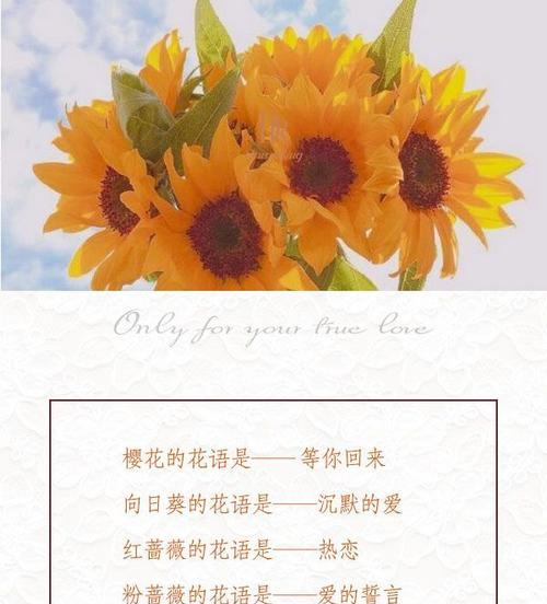 哪种花的花语最令人惊艳？