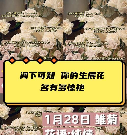 哪种花的花语最令人惊艳？