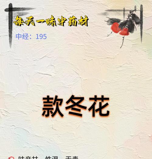 立冬送花时应选择哪种花语？