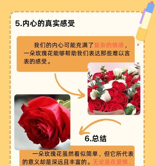 711玫瑰花爱情代表什么意思？你会想我吗的花语又是什么？